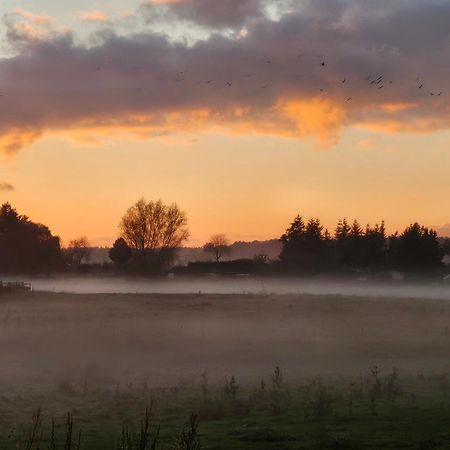 Fewo Am Wald Boek Buitenkant foto