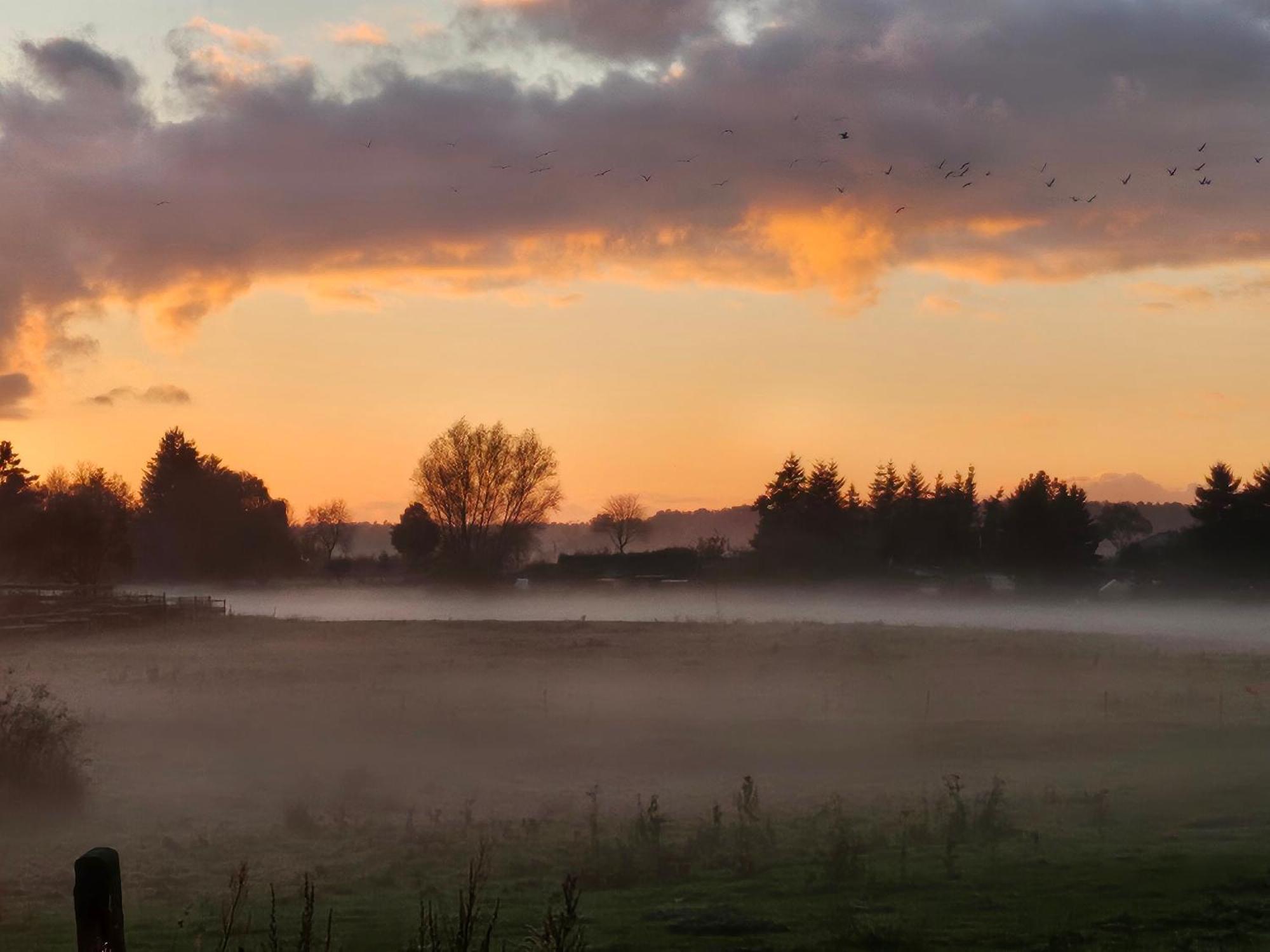 Fewo Am Wald Boek Buitenkant foto