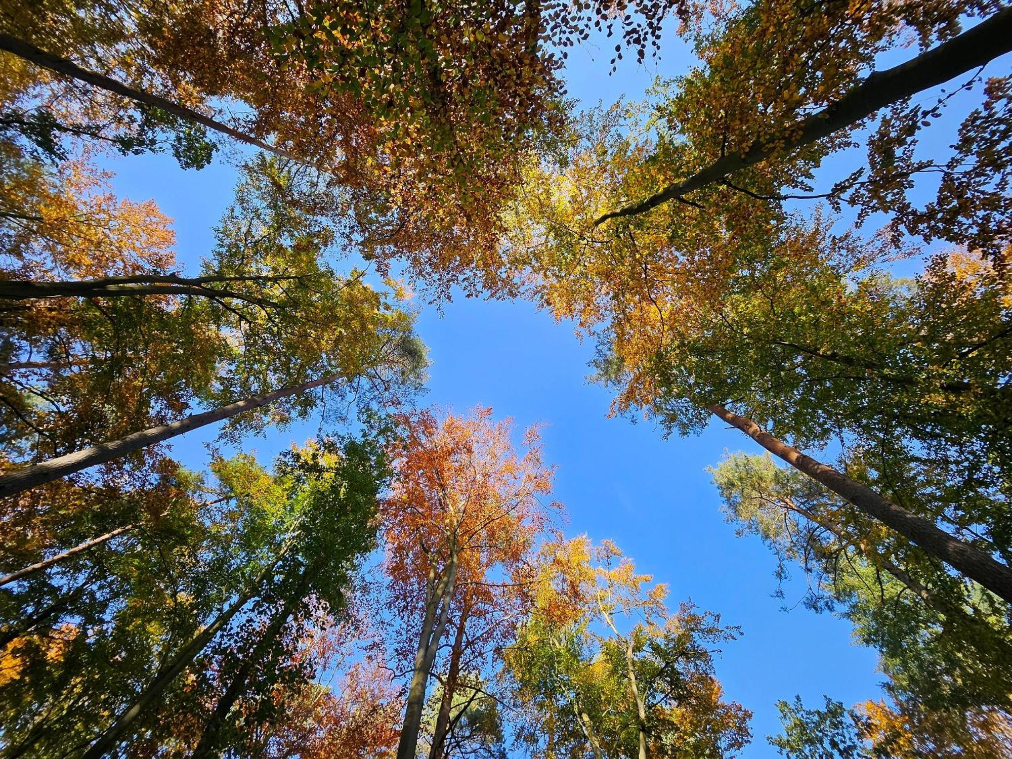 Fewo Am Wald Boek Buitenkant foto